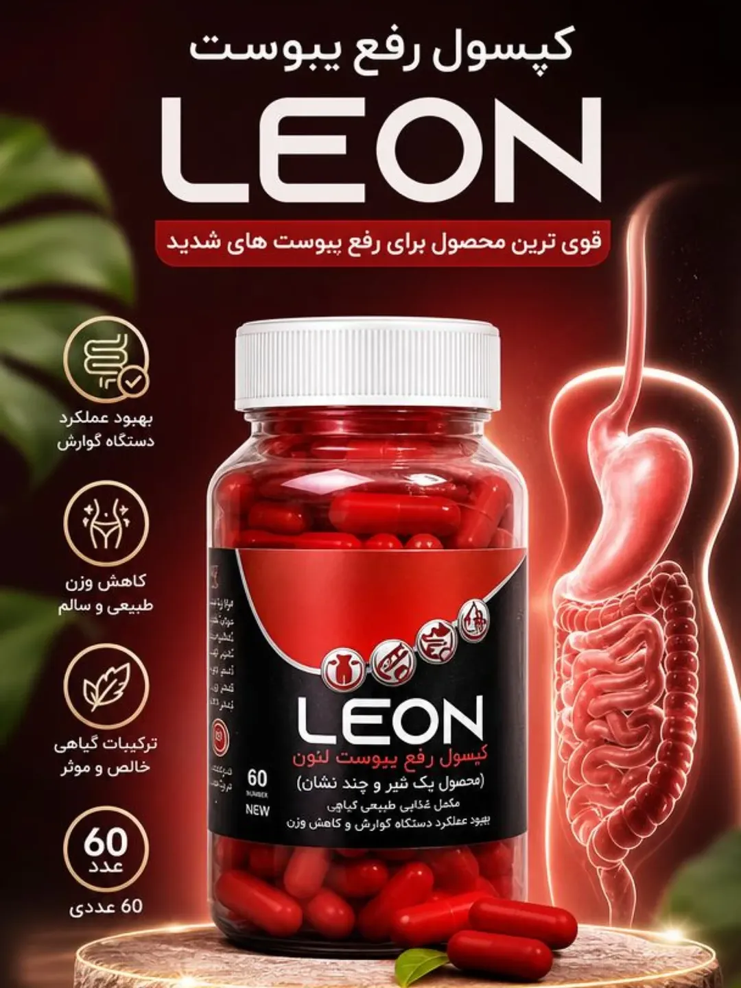 رفع یبوست لئون