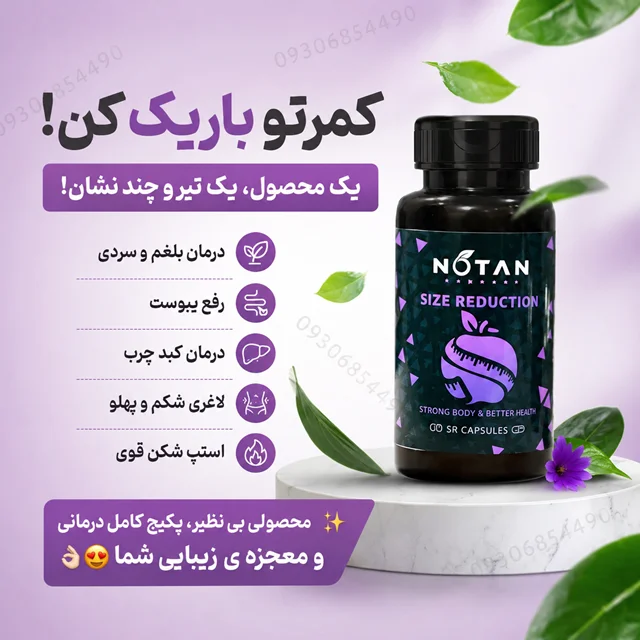 استپ شکن نوتن ۶۰ عددی